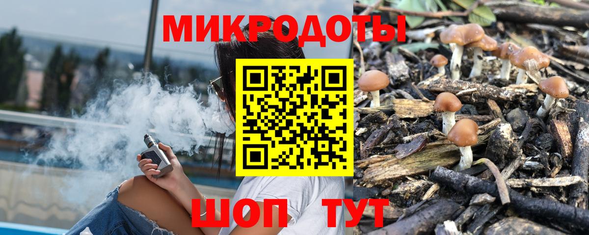 Псилоцибиновые грибы Psilocybine cubensis Свободный